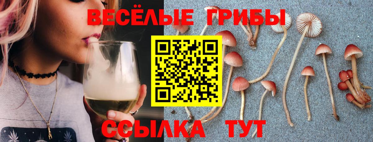 купить закладку  Вход с VPN  Черкесск  Галлюциногенные грибы мухоморы 