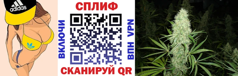 Бошки марихуана гибрид  Черкесск 